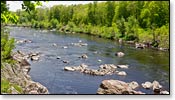 Black River Image