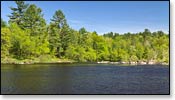 Black River Image