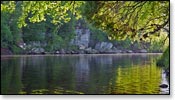 Black River Image