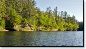 Black River Image