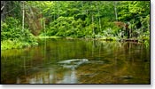 Bois Brule River Image