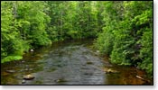 Bois Brule River Image