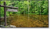 Bois Brule River Image