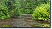 Bois Brule River Image