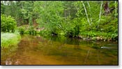 Bois Brule River Image