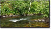 Bois Brule River Image