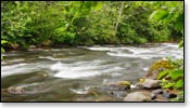 Bois Brule River Image
