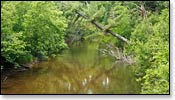 Bois Brule River Image