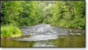 Bois Brule River Image