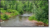 Bois Brule River Image
