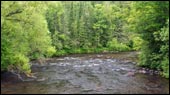 Bois Brule River Image