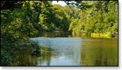 Brule River Image