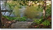 Brule River Image