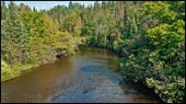 Brule River Image