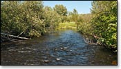 Brule River Image