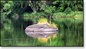 Chippewa River Image