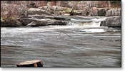 Eau Claire River Image