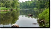 Eau Claire River Image