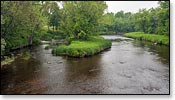 Eau Claire River Image