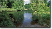 Flambeau River Image