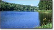 Flambeau River Image