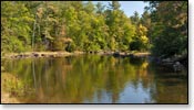 Manitowish River Image