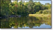 Manitowish River Image