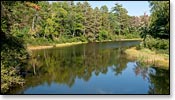 Manitowish River Image