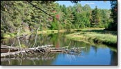 Manitowish River Image