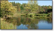 Manitowish River Image