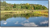 Manitowish River Image