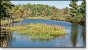 Manitowish River Image