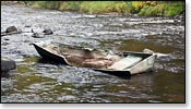 Montreal River Image