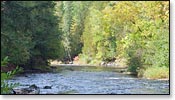 Montreal River Image