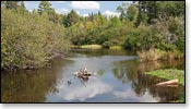 Namekagon River Image