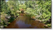 Peshtigo River Image