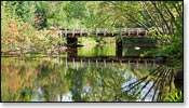 Peshtigo River Image