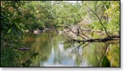 Peshtigo River Image