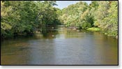 Peshtigo River Image