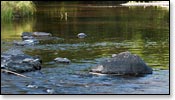 Popple River Image