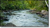 Popple River Image