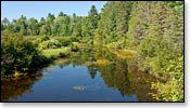 Popple River Image