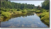 Popple River Image
