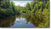 Popple River Image