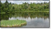 St Croix River Image