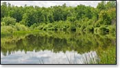 St Croix River Image