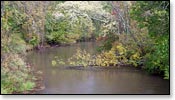 White River Image