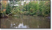 White River Image
