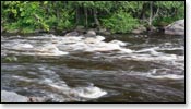 Wolf River Image