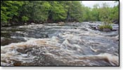 Wolf River Image